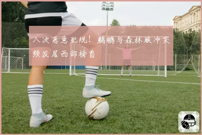 八次恶意犯规!鹈鹕与森林狼冲突频发居西部榜首