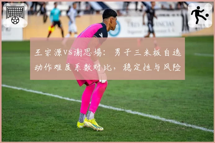 王宗源vs谢思埸:男子三米板自选动作难度系数对比,稳定性与风险平衡成焦点