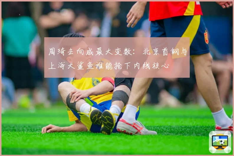 周琦去向成最大变数:北京首钢与上海大鲨鱼谁能抢下内线核心