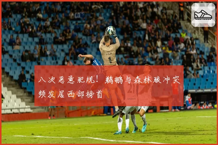 八次恶意犯规!鹈鹕与森林狼冲突频发居西部榜首